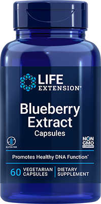 Blueberry Extract cápsulas, 60 cápsulas vegetarianas - newfoodsbr