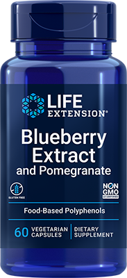 Blueberry Extract and Pomegranate, 60 cápsulas vegetarianas - newfoodsbr