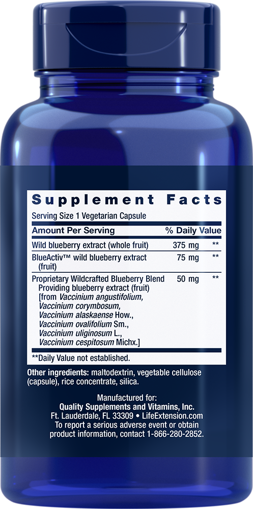 Blueberry Extract cápsulas, 60 cápsulas vegetarianas - newfoodsbr