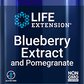 Blueberry Extract and Pomegranate, 60 cápsulas vegetarianas - newfoodsbr
