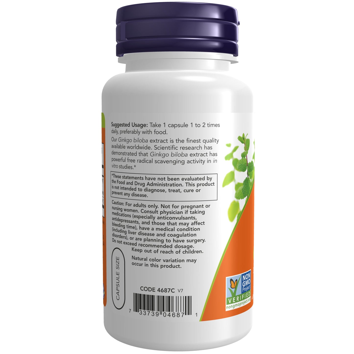 Ginkgo Biloba, 60 mg, 120 Cápsulas Vegetarianas