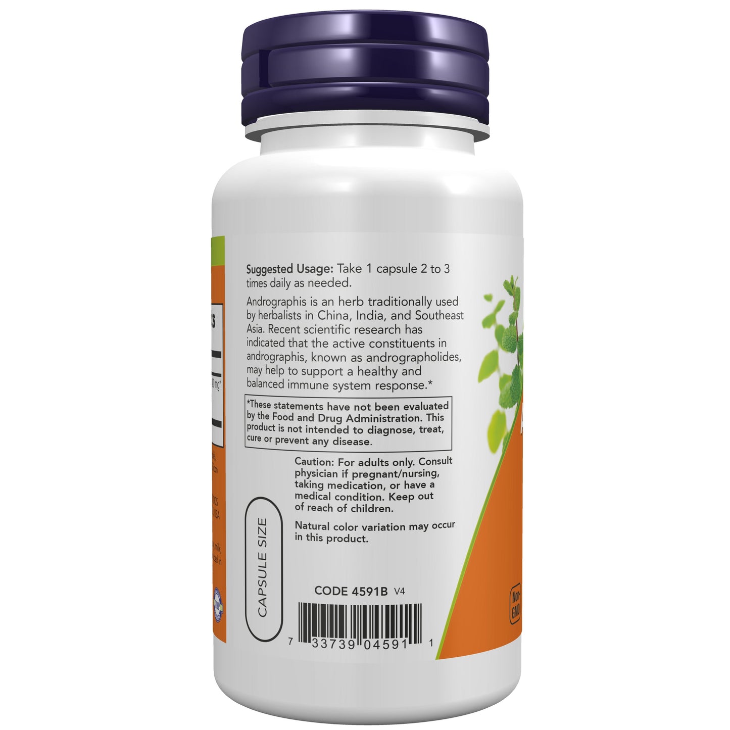 Extrato de Andrographis 400 mg, Cápsulas Vegetarianas