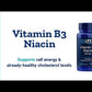 Vitamin B3 Niacin 500 mg. 100 Cápsulas